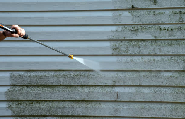 Best Home Mold Removal  in Hesston, KS