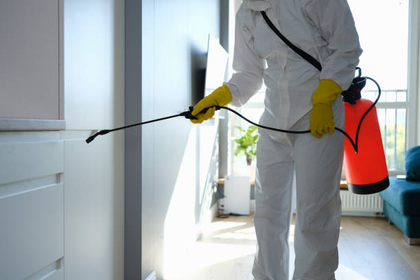 Best Emergency Mold Removal  in Hesston, KS