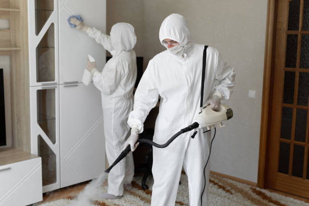 Best Local Mold Removal Service  in Hesston, KS