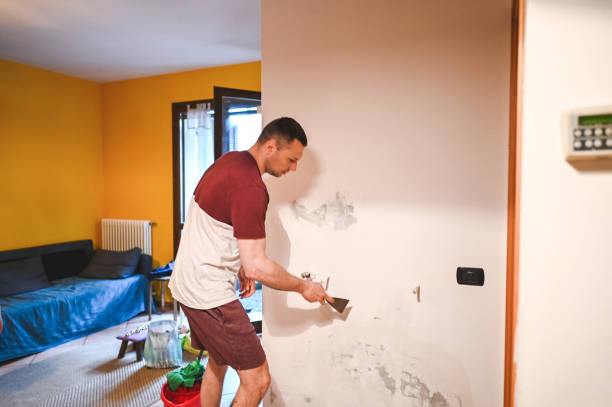Best Commercial Mold Removal  in Hesston, KS