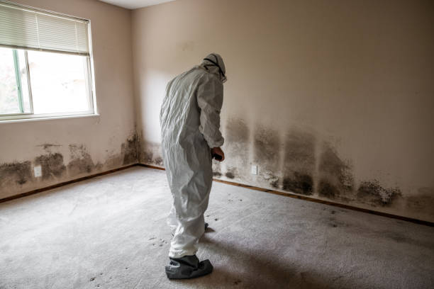 Best Crawl Space Mold Removal  in Hesston, KS